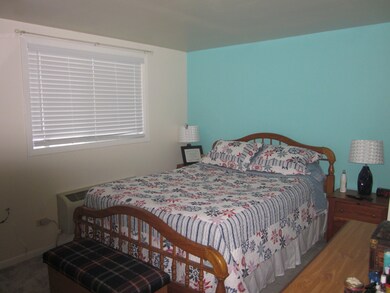 111 Jefferson St unit J, Algonquin, IL 60102 - photo 4