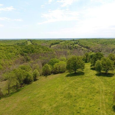 Tract A Farm Road 2080, Jenkins, MO 65605 - photo 3