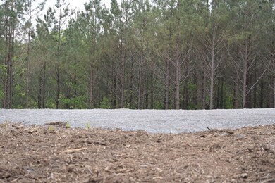 19 Chestnut Dr, Linden, TN 37096 - photo 4