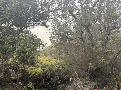 92-9035 Leilani Pkwy, Ocean View, HI 96737 - photo 2