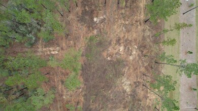 9118 Pine Preserve Ln unit LOT 21, Jay, FL 32565 - photo 6