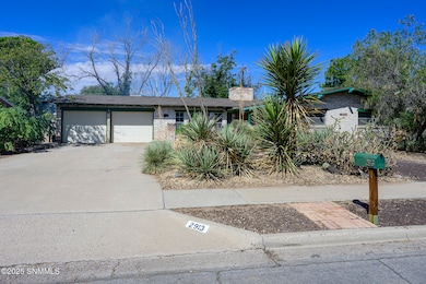 2913 Devendale Ave, Las Cruces, NM 88005 - photo 6