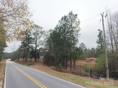 TBD Hwy 109 None S, Peachland, NC 28133 - photo 7