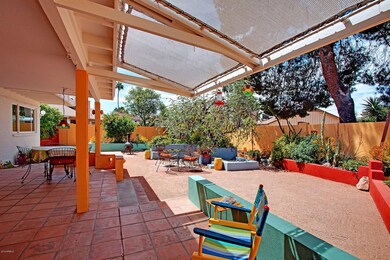 Backyard_3318
