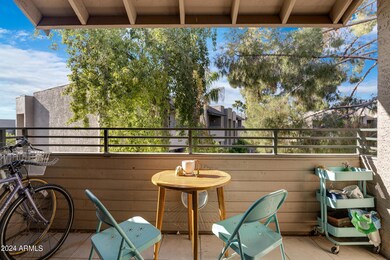North Facing Patio