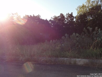 11226 Blue Waters, Helotes, TX 78023 - photo 5