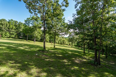 325 Peninsula Ln, Kimberling City, MO 65686 - photo 2