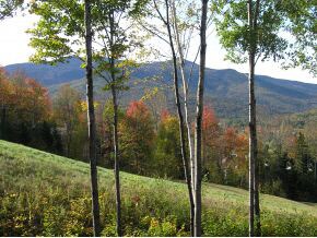 16 Bean Bender Rd, Waterville Valley, NH 03215 - photo 3