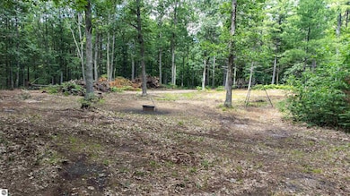 Parcel F Vans Ln, Fife Lake, MI 49633 - photo 7
