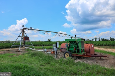 0 Nantze Springs Rd, Arlington, GA 39813 - photo 7