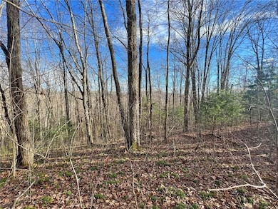 999 Juniper Rd, Clyde, NC 28721 - photo 7