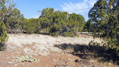 1799 Scott Place, Show Low, AZ 85901 - photo 5