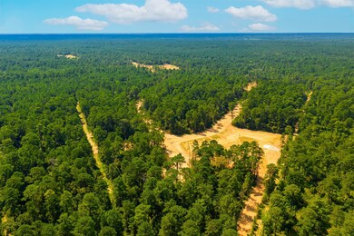 26524 Spy Glass Hill Dr, Montgomery, TX 77356 - photo 3