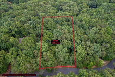 LT 80 Doll Mountain Rd, Ellijay, GA 30540 - photo 6