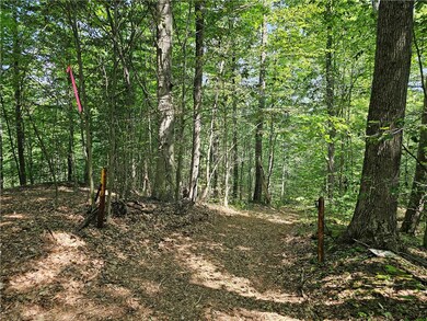 0 Cayward Rd unit R1628568, Prattsburgh, NY 14873 - photo 3