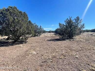 37a Juniperwood Ranch, Ash Fork, AZ 86320 - photo 3