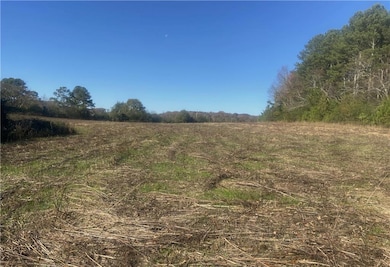 Level etablished pasture