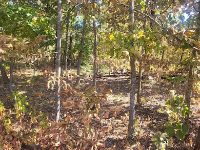 TBD Corner of Ring Rd and Upper Janes Creek, Ravenden Springs, AR 72460 - photo 6