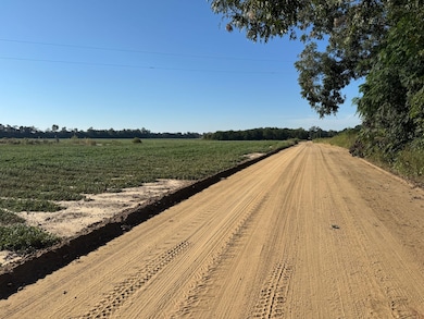 1043 Wacaser Corner Rd, Colquitt, GA 39837 - photo 5