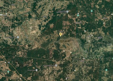 0 Wynne Rd, Trinity, TX 75862 - photo 6