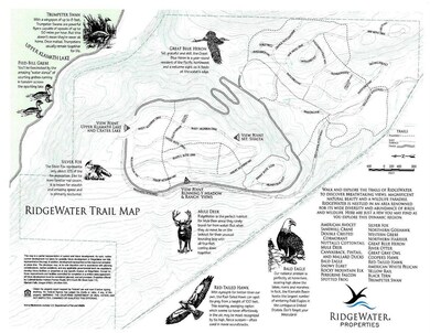 1205 Vine Maple Dr unit 893712, Klamath Falls, OR 97601 - photo 6