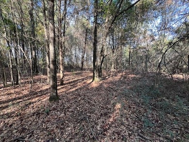 3 ac County Road 404, Elba, AL 36323 - photo 5