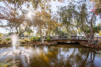 Community fountain and bridge