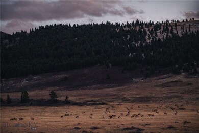 TBD Livingston Peak Rd, Livingston, MT 59047 - photo 6