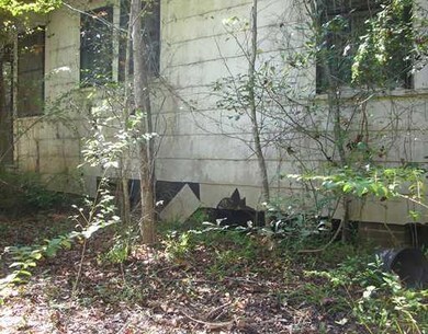 Photo. HOUSE IS CONDEMNED. NO WATER FROM KATRINA I