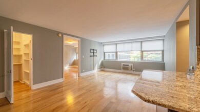 unlisted-address, Chicago, IL 60611 - photo 4