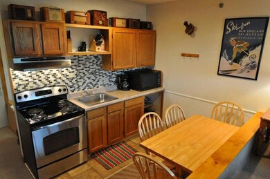 8 Fall Line Dr unit N201, Newry, ME 04261 - photo 2