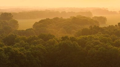 618 E Howard Rd, Smithfield, IL 61477 - photo 4