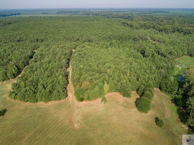 TBD Collier Rd, Lewisville, AR 71845 - photo 5