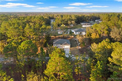 1985 W Corrine St, Citrus Springs, FL 34434 - photo 4