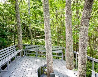 Exterior Front. Tree House