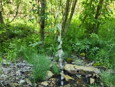 Nhn Silver Butte Rd, Libby, MT 59923 - photo 5