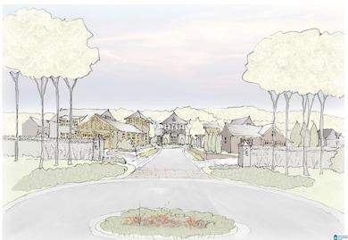 2255 Chester Rd, Mountain Brook, AL 35223 - photo 2