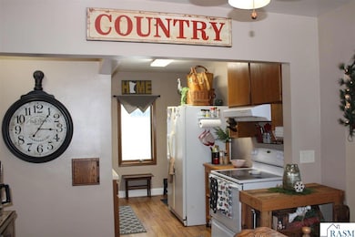 1406 Marsh St, Mankato, MN 56001 - photo 5