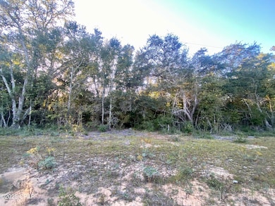 Lot 2 Coronado Ave, Alford, FL 32420 - photo 2