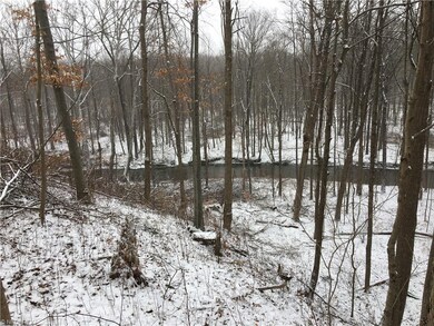 A winter wonderland view from the back of your fut