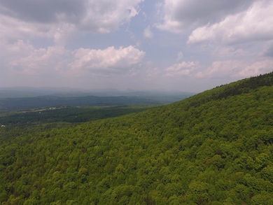 0 Bennett Rd, Kirby, VT 05832 - photo 3