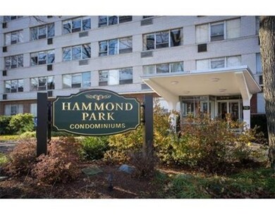 Hammond Park Condominiums unit 302, Chestnut Hill, MA 02467 - photo 2