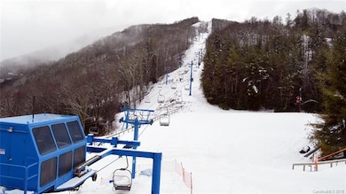 Cataloochee Ski Area just across the road and up t