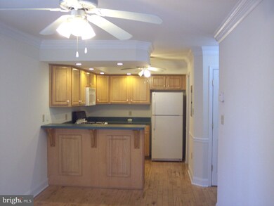 300 E Elm St unit 2, Conshohocken, PA 19428 - photo 5