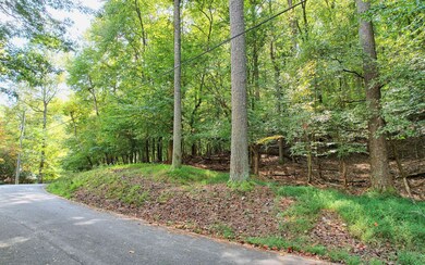 Additional View