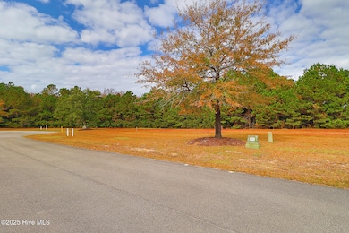 108 Ellery St, Newport, NC 28570 - photo 4
