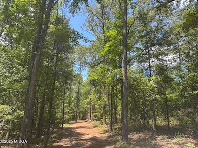 0 Salix Ln, Macon, GA 31216 - photo 2