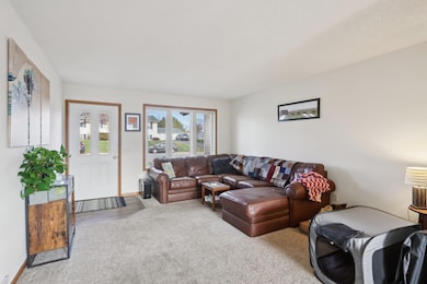 213 W Garfield St, Mount Horeb, WI 53572 - photo 6