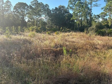 315 Abbott Ave, Lehigh Acres, FL 33936 - photo 4