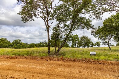 190 Jupiter Trail, Weatherford, TX 76088 - photo 2